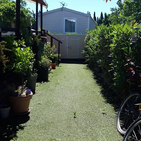 Campsite Azur 49 Frejus